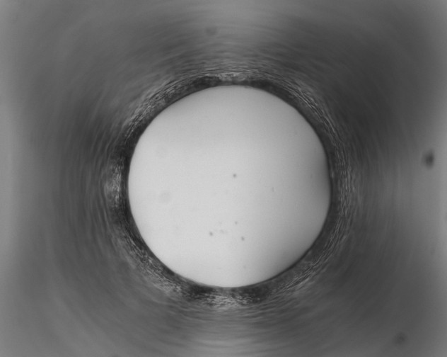 X0000115680697200912031420