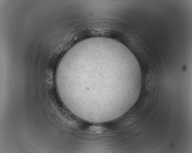 X0000115680699200912031420