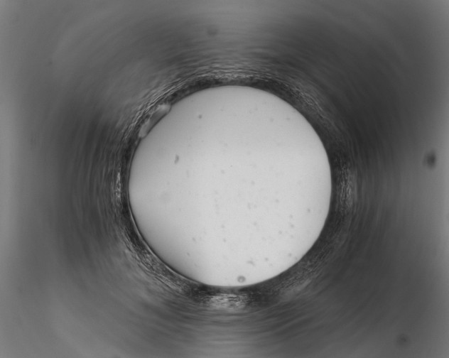 X0000115680700200912031420