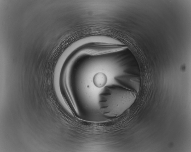 X0000115680701200912031420