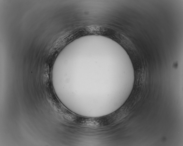 X0000115680702200912031420