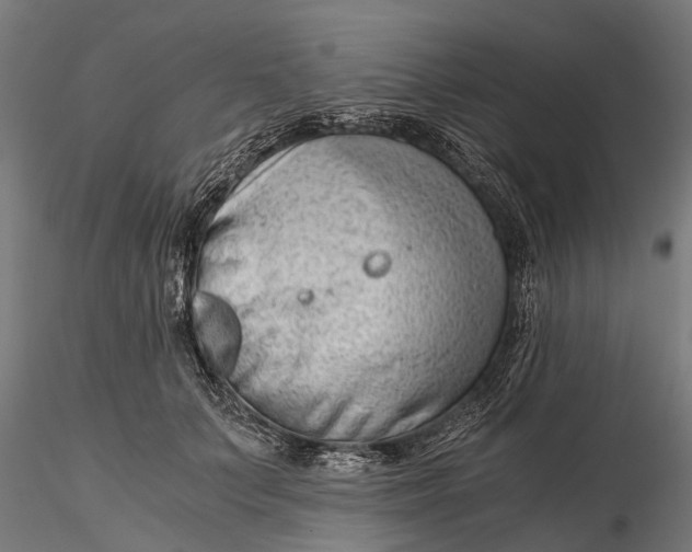 X0000115680703200912031420