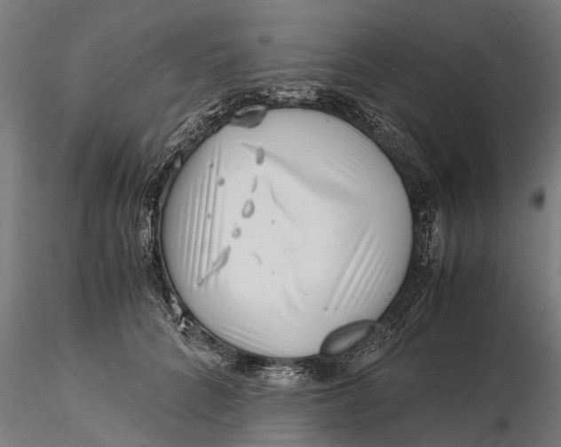 X0000115680704200912031420