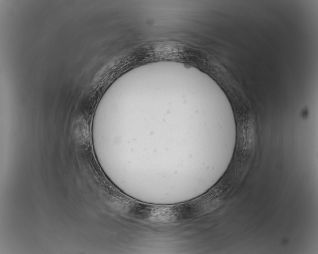 X0000115680705200912031419