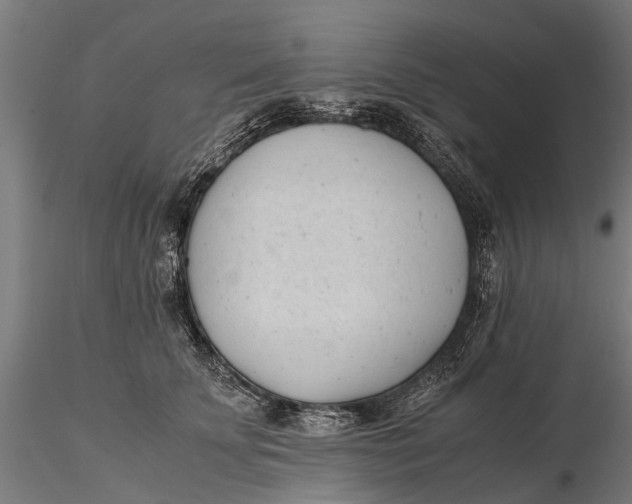 X0000115680707200912031419