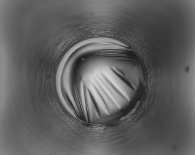 X0000115680709200912031419