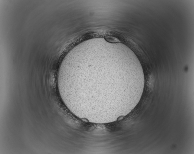 X0000115680715200912031419