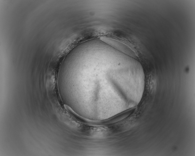 X0000115680716200912031419