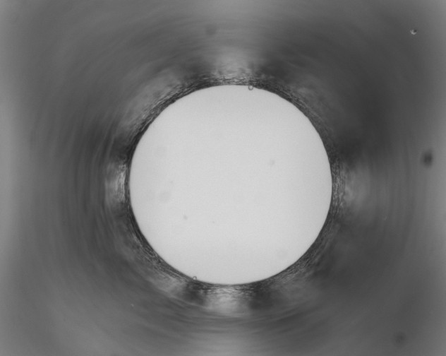 X0000115680717200912031419