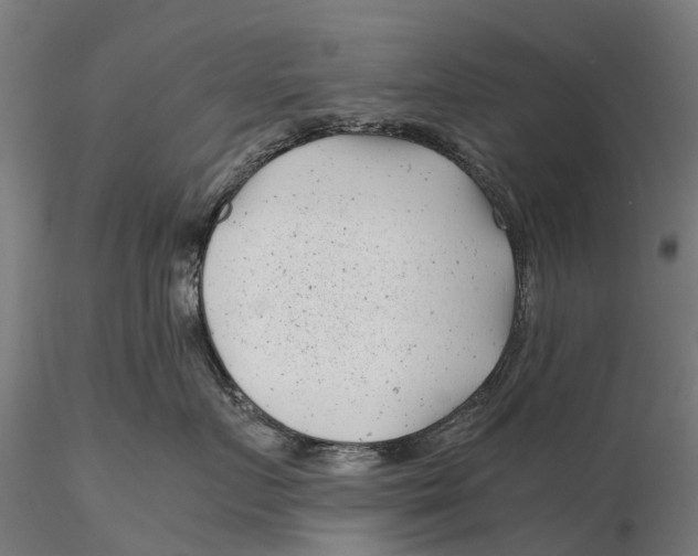 X0000115680719200912031419