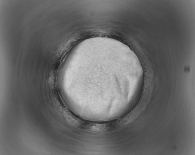 X0000115680720200912031419