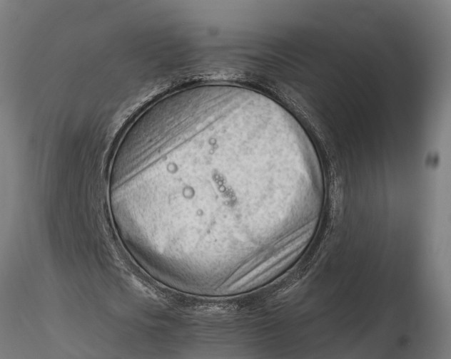 X0000115680721200912031419