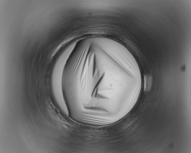 X0000115680723200912031419