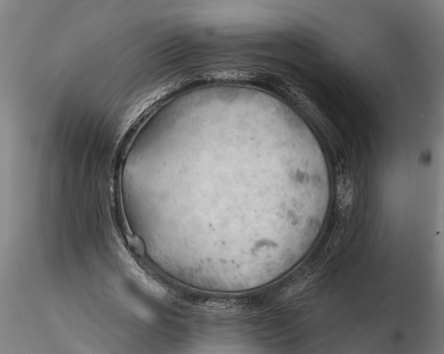 X0000115680725200912031419