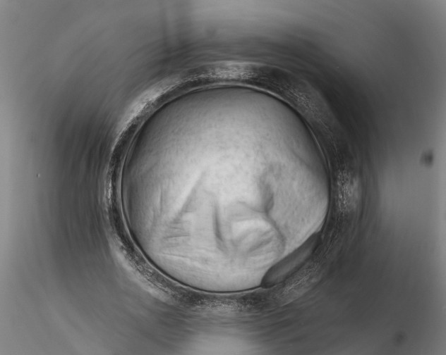 X0000115680726200912031419