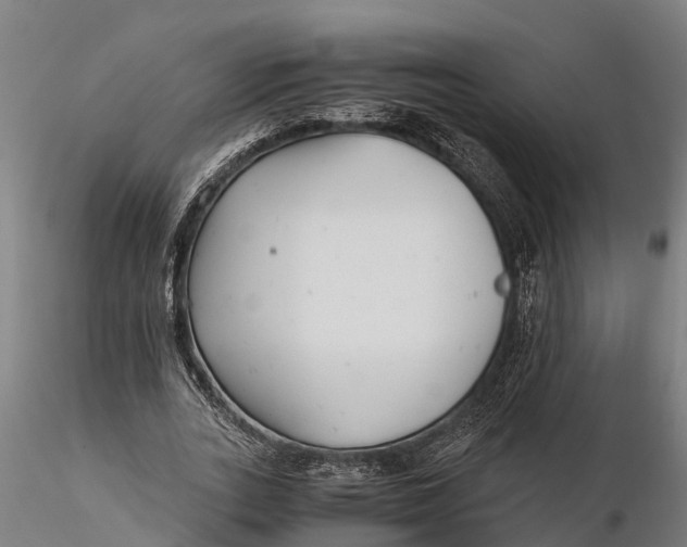 X0000115680727200912031419