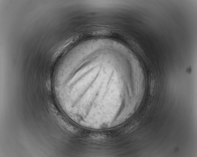 X0000115680729200912031419