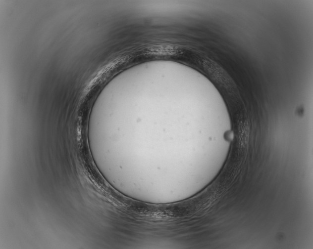 X0000115680731200912031419