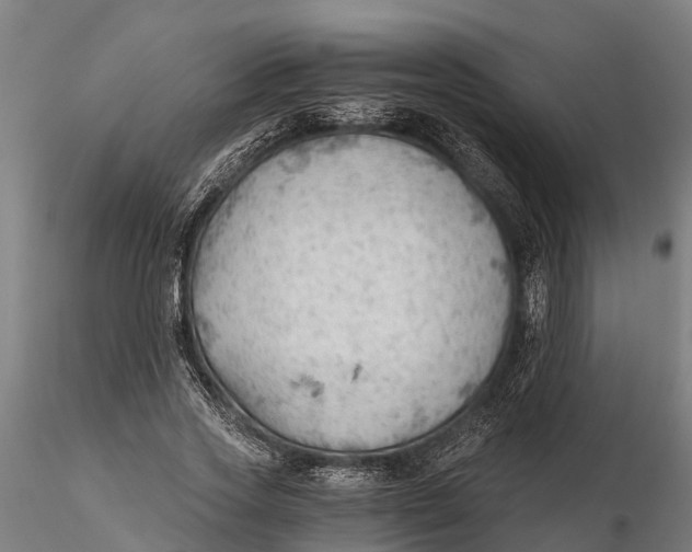 X0000115680733200912031419