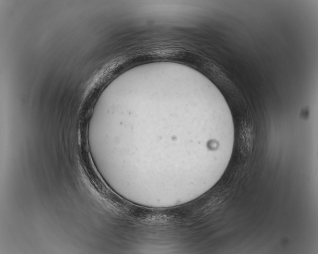 X0000115680734200912031419