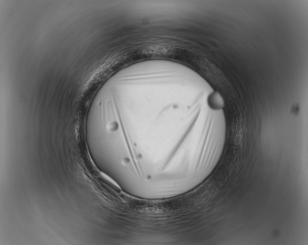 X0000115680735200912031419