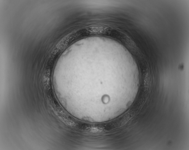 X0000115680737200912031419