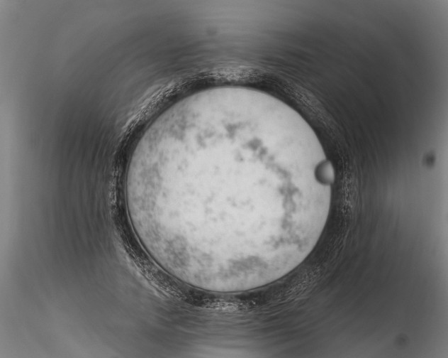 X0000115680738200912031419