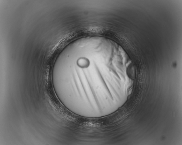 X0000115680739200912031419