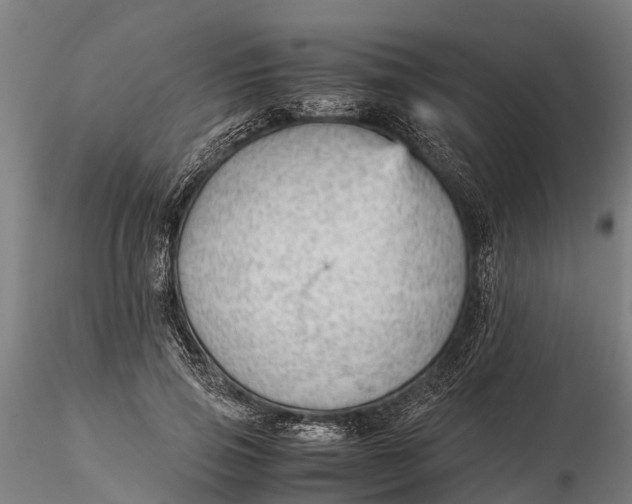 X0000115680741200912031419