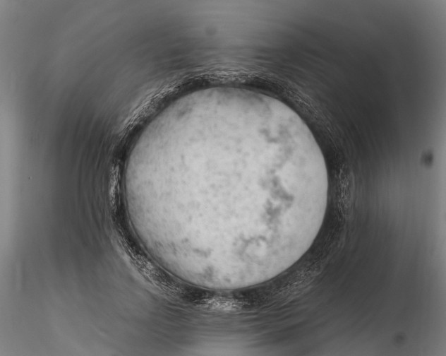 X0000115680742200912031419