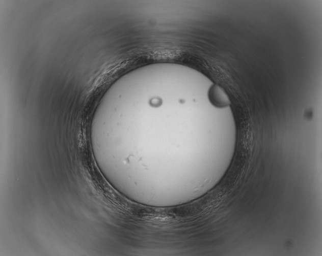 X0000115680743200912031419