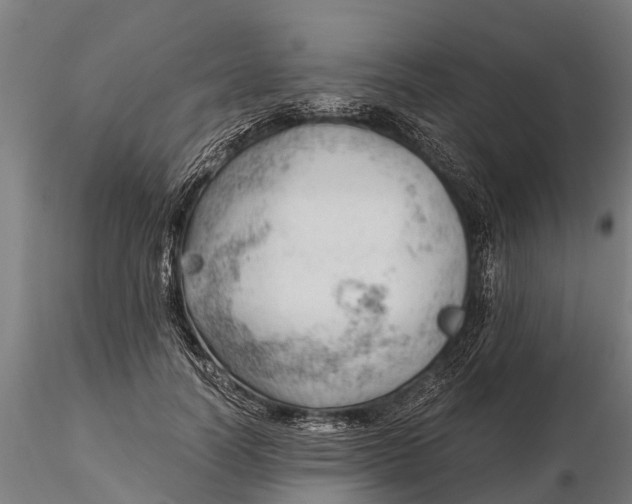 X0000115680746200912031419