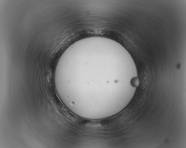 X0000115680747200912031419