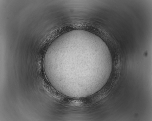 X0000115680749200912031419