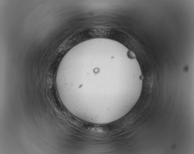 X0000115680751200912031419