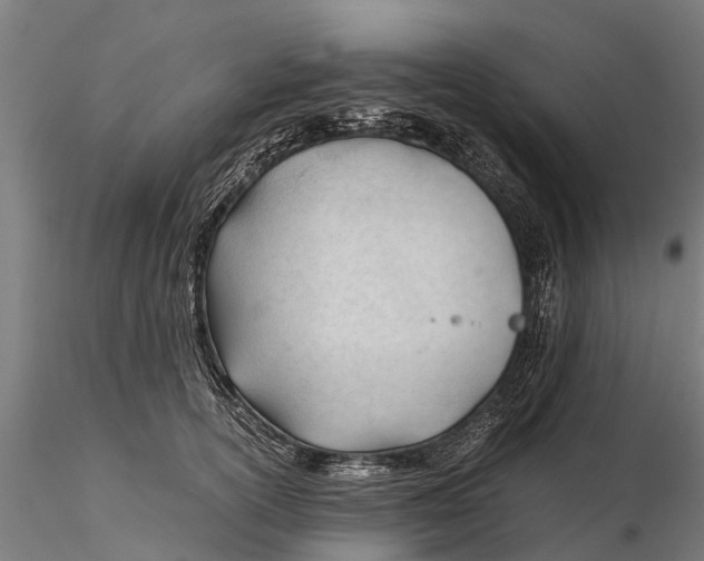 X0000115680754200912031419