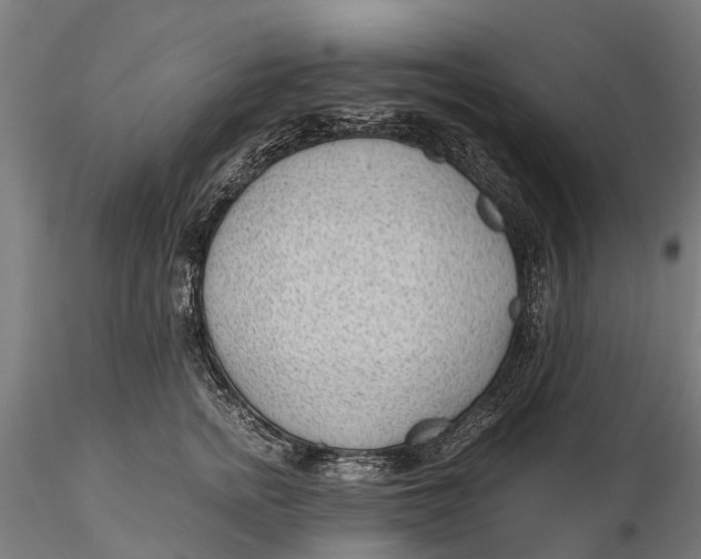 X0000115680758200912031419