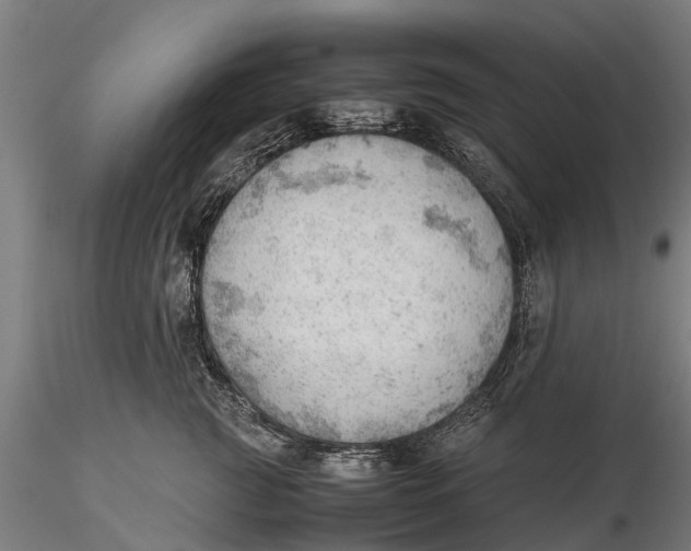 X0000115680761200912031419