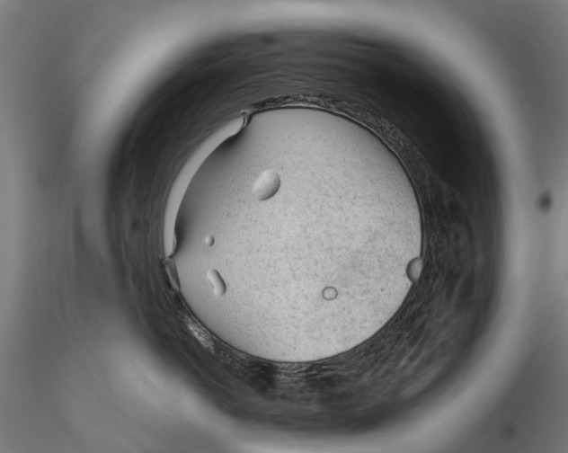 X0000115680766200912031419