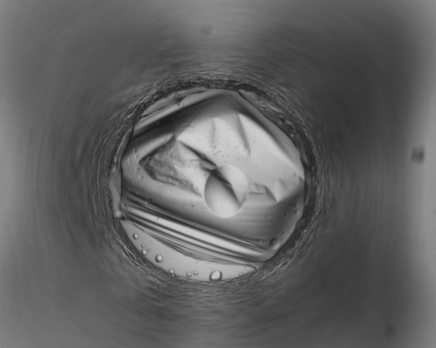 X0000115680769200912031419