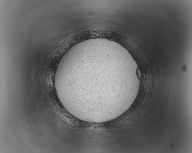 X0000115680770200912031419