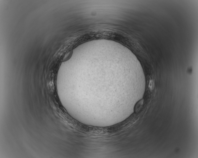 X0000115680771200912031419