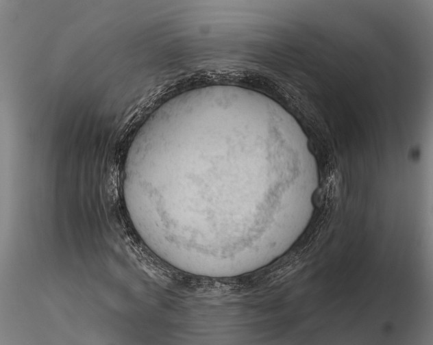 X0000115680772200912031419