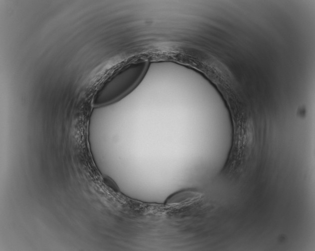 X0000115680773200912031419