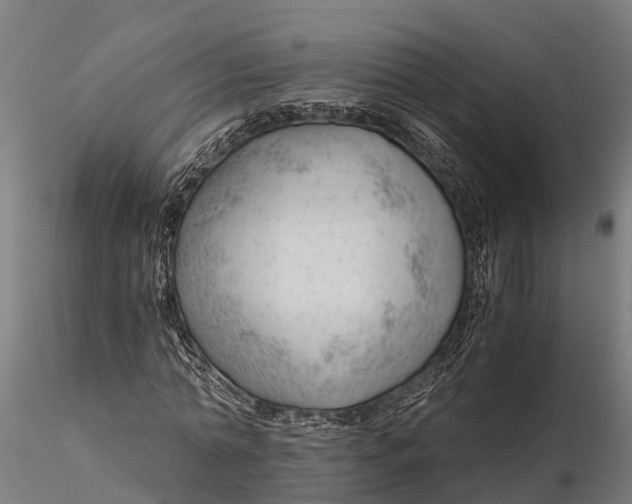 X0000115680774200912031419