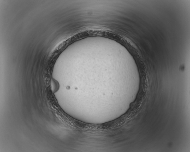 X0000115680775200912031419