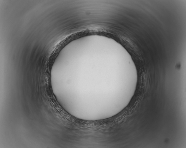 X0000115680776200912031419