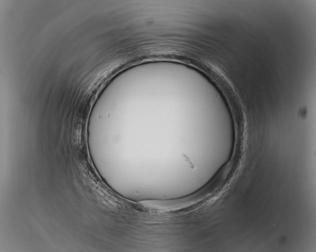 X0000115680777200912031419