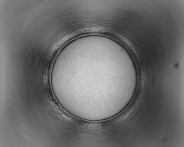 X0000115680778200912031418