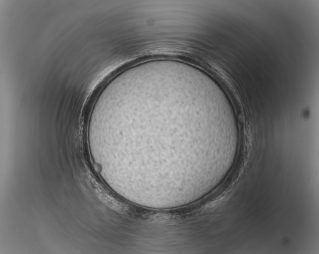 X0000115680779200912031418